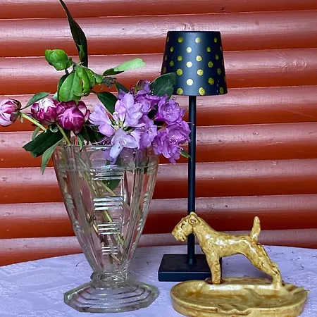 Nocleg ze śniadaniem Schwalbennest Uetersen