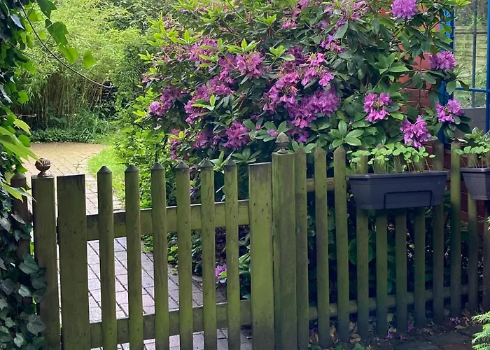 Schwalbennest 3* Uetersen